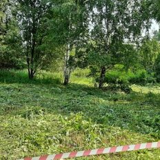 11 соток, участок - изображение 4