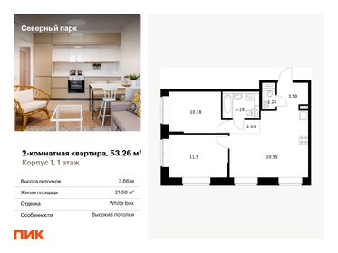 Квартира 53,3 м², 2-комнатная - изображение 1