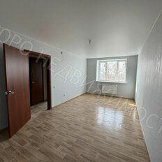 Квартира 33,1 м², 1-комнатная - изображение 1