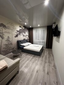 42 м², 1-комнатная квартира 2 500 ₽ в сутки - изображение 30