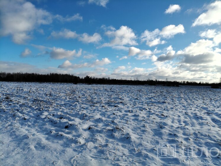 62,1 м², 2-комнатная квартира 33 141 020 ₽ - изображение 39