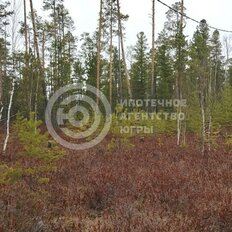 30 соток, участок - изображение 1