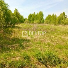 15 соток, участок - изображение 4