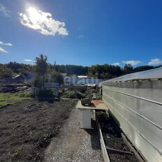 4,7 сотки, участок - изображение 2