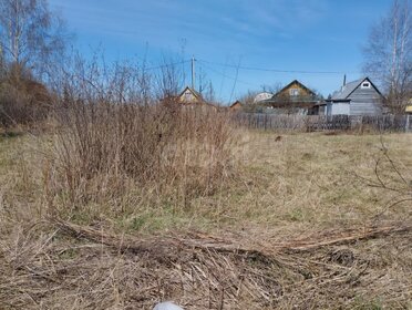 Снять квартиру с животными на улице Социалистическая в Санкт-Петербурге - изображение 48