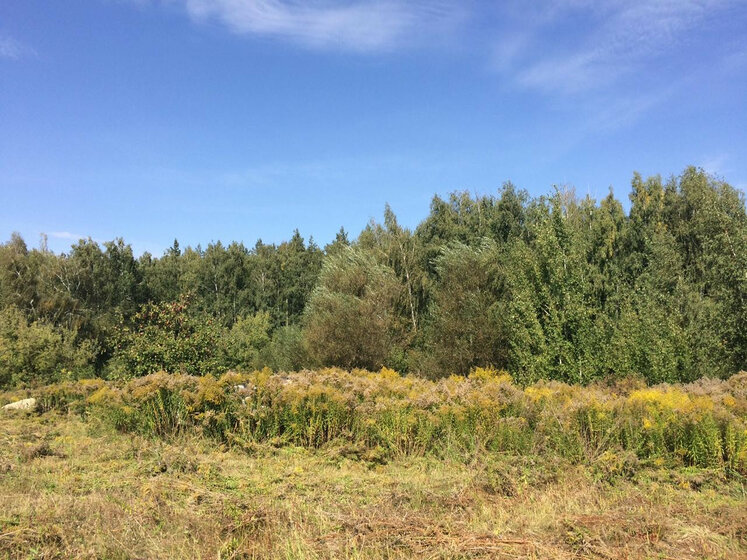 12 соток, участок 130 000 ₽ - изображение 36