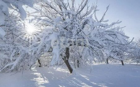 30 соток, участок 1 000 000 ₽ - изображение 16