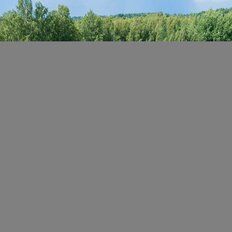 таунхаус + 6 соток, участок - изображение 4