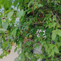 часть дома + 3 сотки, участок - изображение 1