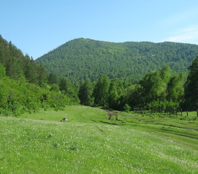 16,5 сотки, участок 60 000 ₽ - изображение 51