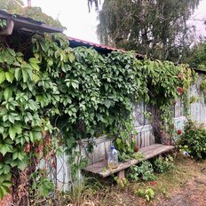 дом + 26 соток, участок - изображение 1