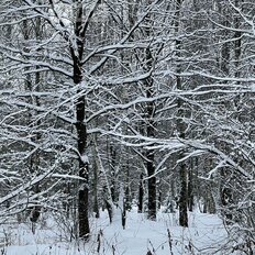 дом + 3 сотки, участок - изображение 2