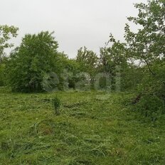 5 соток, участок - изображение 3