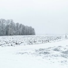 6 га, участок коммерческого назначения - изображение 3