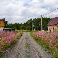 12 соток, участок - изображение 3