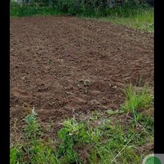 6 соток, участок - изображение 2