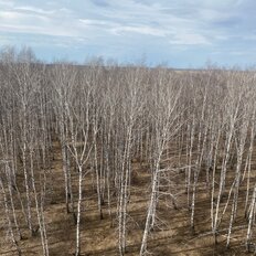 Квартира 56 м², 2-комнатная - изображение 2