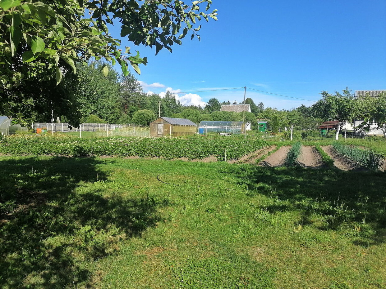 Дом 36 м² в СНТ Ветеран — фото 5