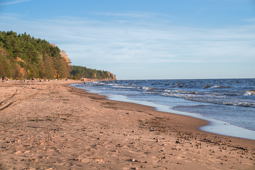 45 м², 1-комнатная квартира 2 600 000 ₽ - изображение 17