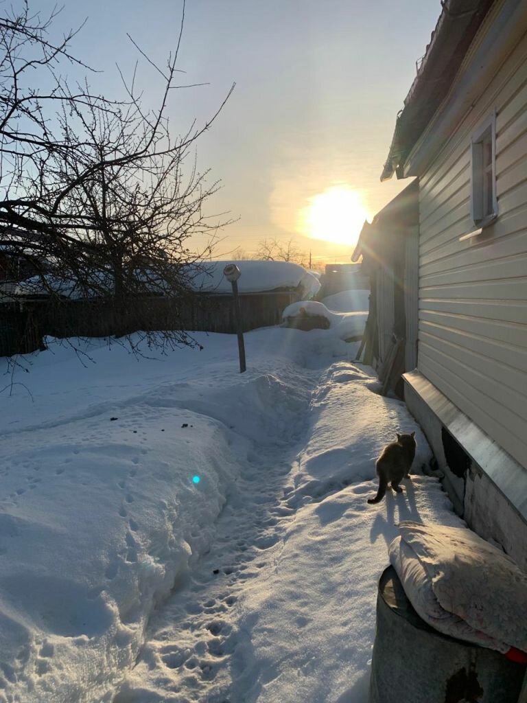 Дом 60 м² в Тейково — фото 18 из 25