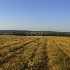 20 соток, участок - изображение 3