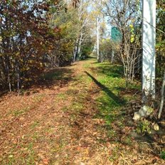 15,8 сотки, участок - изображение 2