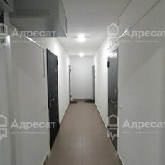 Квартира 21,5 м², 1-комнатная - изображение 4