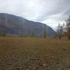 1 га, участок - изображение 3