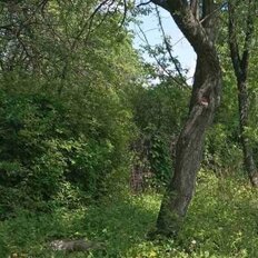 5,3 сотки, участок - изображение 1