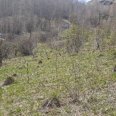 5,9 сотки, участок - изображение 3