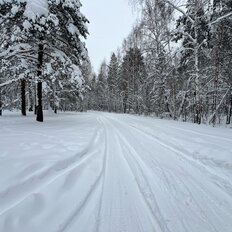 20 соток, участок - изображение 5