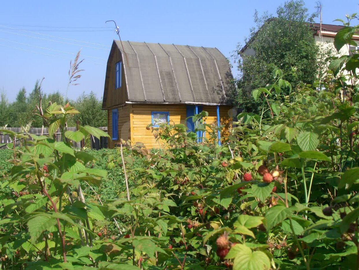 Дом 2-комн. 40 м² в СТ № 46 Урожай — фото 4