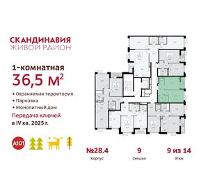 46,3 м², 1-комнатная квартира 12 500 000 ₽ - изображение 108