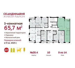 67 м², 3-комнатная квартира 17 500 000 ₽ - изображение 13