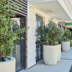 Квартира 29,6 м², студия - изображение 5