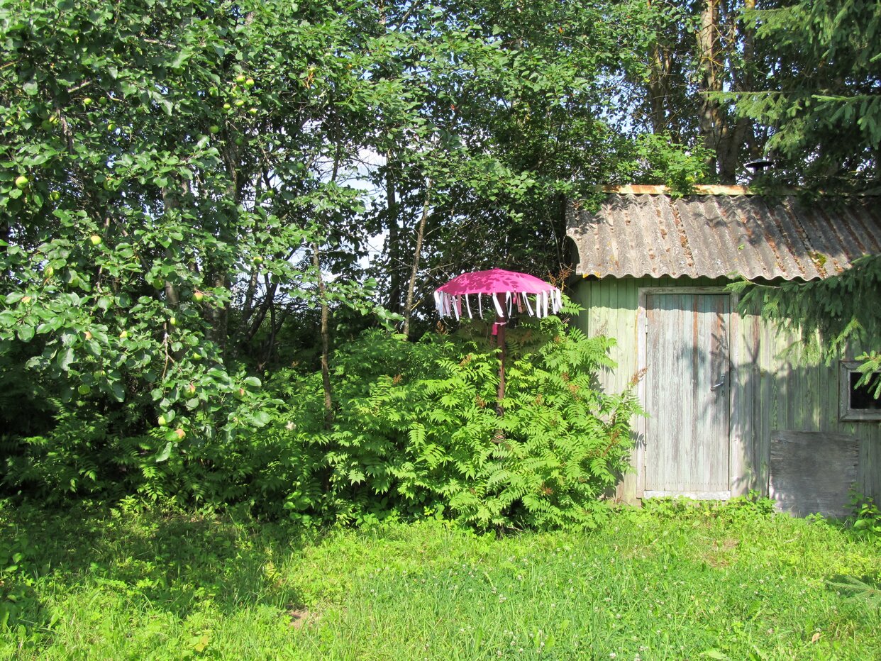 Дом 50 м² в Псковская область — фото 5