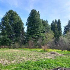 дом + 15 соток, участок - изображение 1