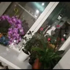 Квартира 46 м², 2-комнатная - изображение 2