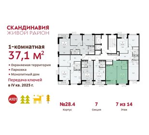 36 м², 1-комнатная квартира 12 600 000 ₽ - изображение 90