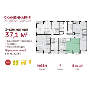 37,1 м², 1-комнатная квартира 12 827 331 ₽ - изображение 7