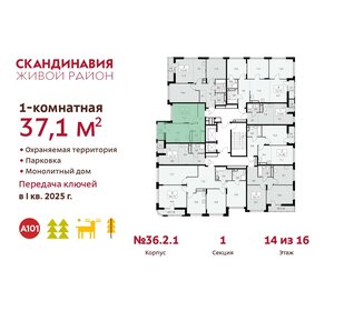 37,1 м², 1-комнатная квартира 13 540 857 ₽ - изображение 2