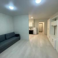 Квартира 42,5 м², 1-комнатная - изображение 3