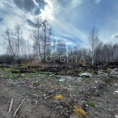 9,8 сотки, участок - изображение 5