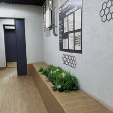Квартира 38 м², 1-комнатная - изображение 5