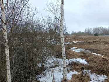 Купить квартиру-студию на первом этаже на улице Петухова в Новосибирске - изображение 42