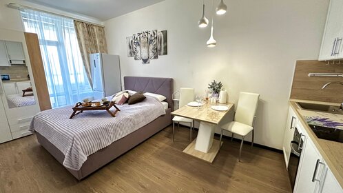 29 м², квартира-студия 2 400 ₽ в сутки - изображение 72