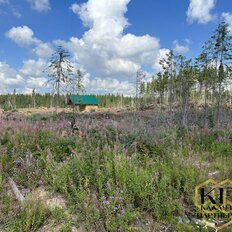 7 соток, участок - изображение 4