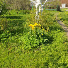 дом + 20 соток, участок - изображение 2