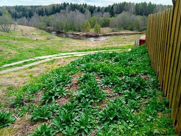 Купить 4-комнатную квартиру без отделки или требует ремонта в городе-парке «Первый Московский» в Москве и МО - изображение 12