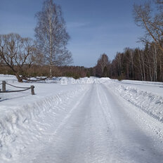 дом + 1 га, участок - изображение 5